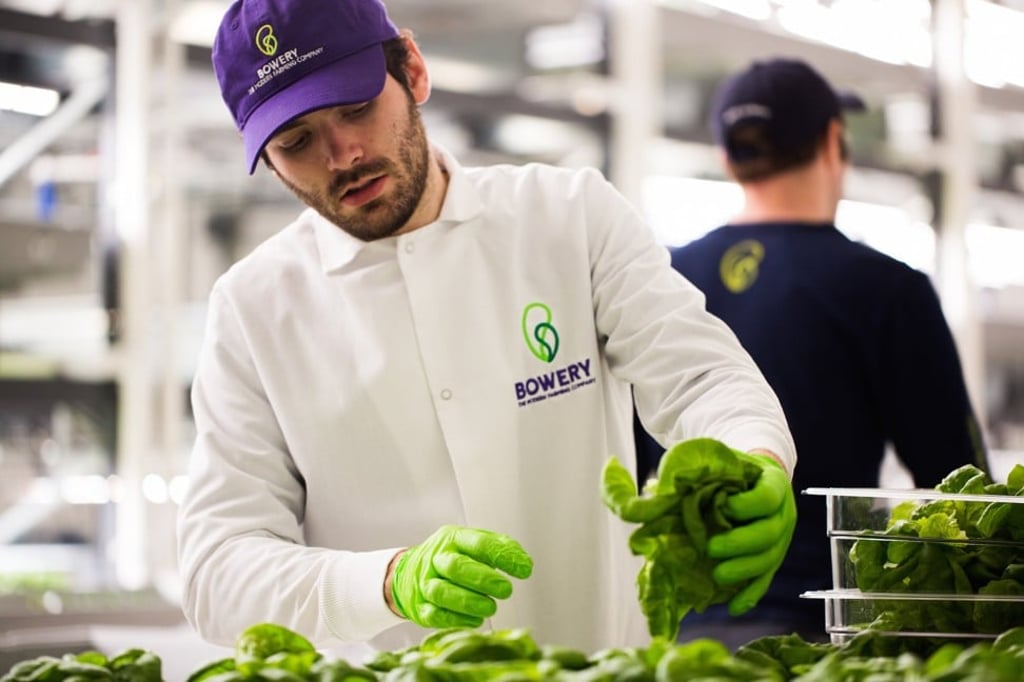 A farmer at Bowery, a vertical farming startup in New Jersey.