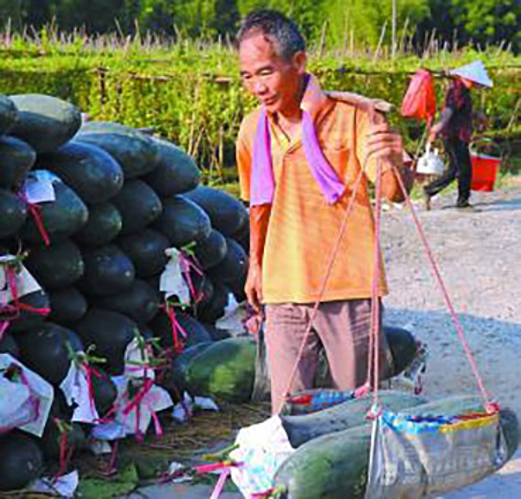 An elderly Chinese man carries winter melons in a sling. Photo: Handout
