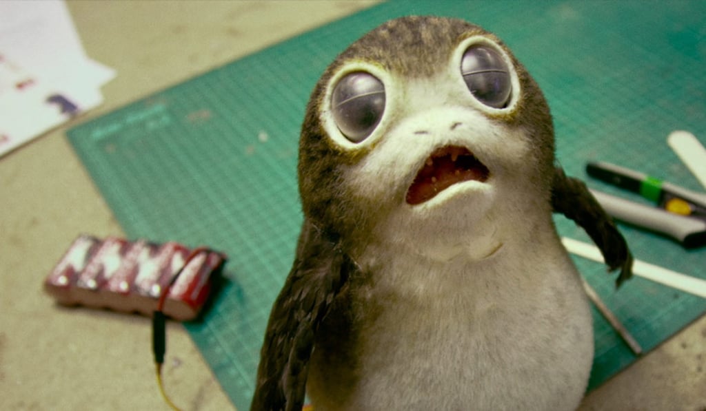 A Porg in Star Wars: The Last Jedi. A Porg in Star Wars: The Last Jedi.