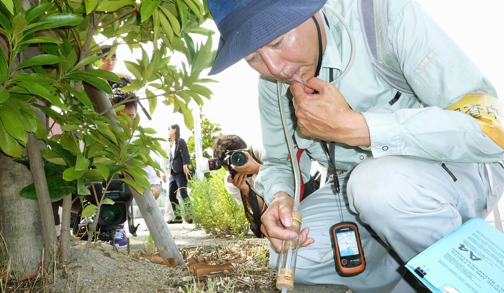 An environment ministry worker takes samples on Port Island, in western Japan's Kobe, during a probe aimed at preventing the spread of fire ants. Photo: Kyodo