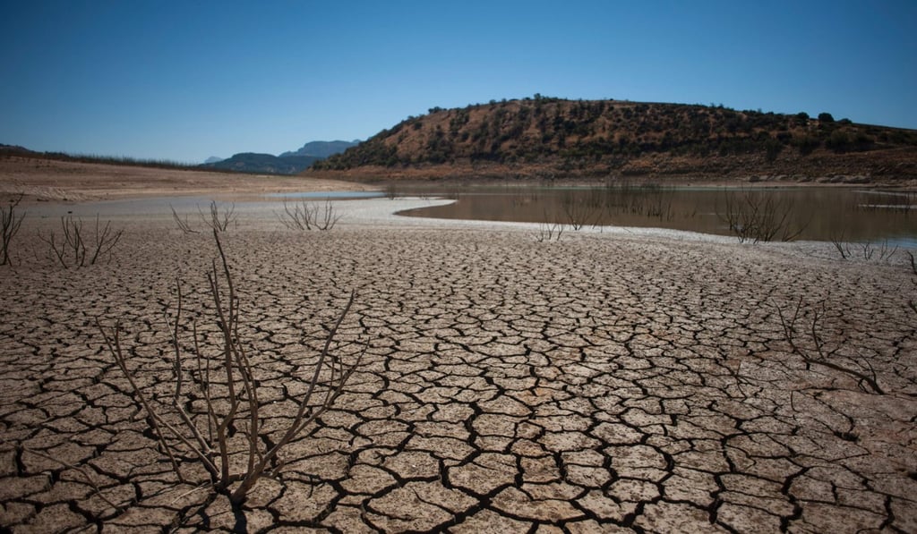 The cracked riverbed caused by drought in the Guadalteba reservoir, in Los Campillos, Spain. Photo: AFP The cracked riverbed caused by drought in the Guadalteba reservoir, in Los Campillos, Spain. Photo: AFP