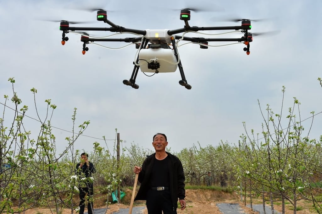 A farmer watches as a drone sprays pesticide in his field in Shanxi province. Photo: Xinhua