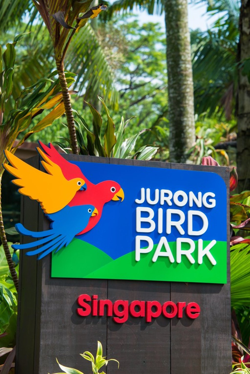 The Jurong Bird Park in Jurong keeps birds of almost every species in habitats resembling their natural environments.