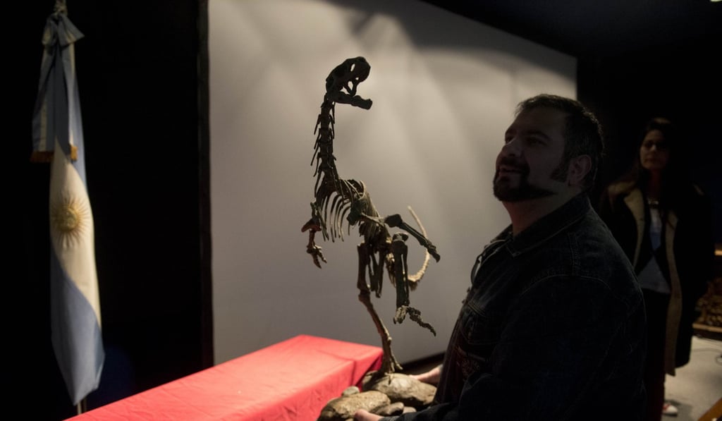 A researcher carries a replica of a Chilesaurus diegosuarezi at the Bernardino Rivadavia Natural Sciences Museum in Buenos Aires, Argentina. Photo: AFP