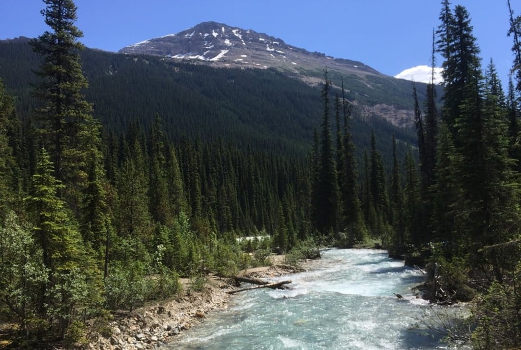 The Yoho River flows through Yoho National Park in Canada's stretch of the Rocky Mountains, straddling the border of British Columbia and Alberta. Photo: AP The Yoho River flows through Yoho National Park in Canada's stretch of the Rocky Mountains, straddling the border of British Columbia and Alberta. Photo: AP