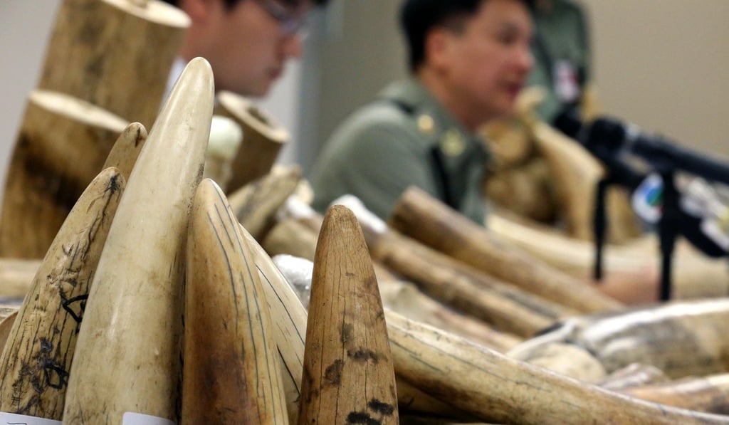 The ivory trade remains legal in Hong Kong. Photo: Nora Tam