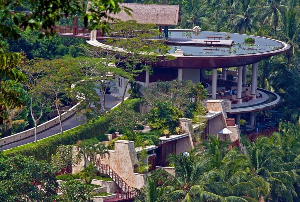 The rooftop lotus pond. Picture: Alamy