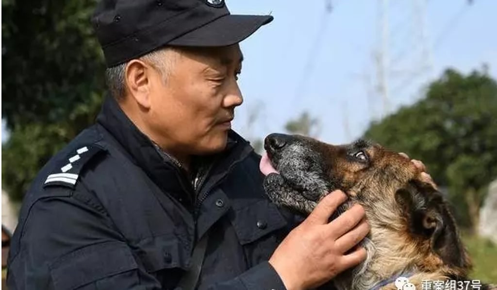 Bai said he wants the dogs to be able to live out their lives with dignity. Photo: Handout