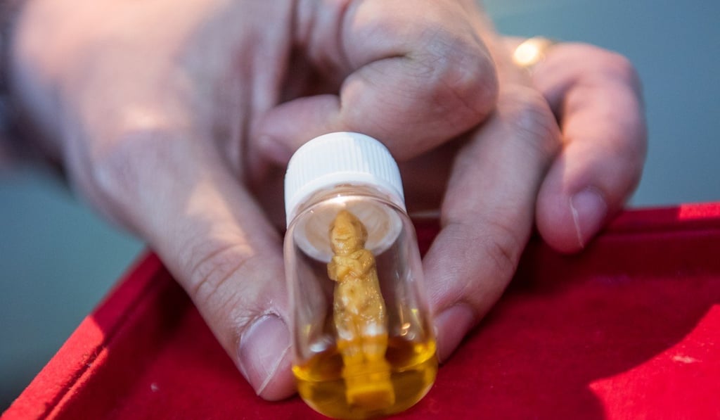 A kuman thong or little boy spirit charm carved from wood and kept in oil in Amulet Studio.