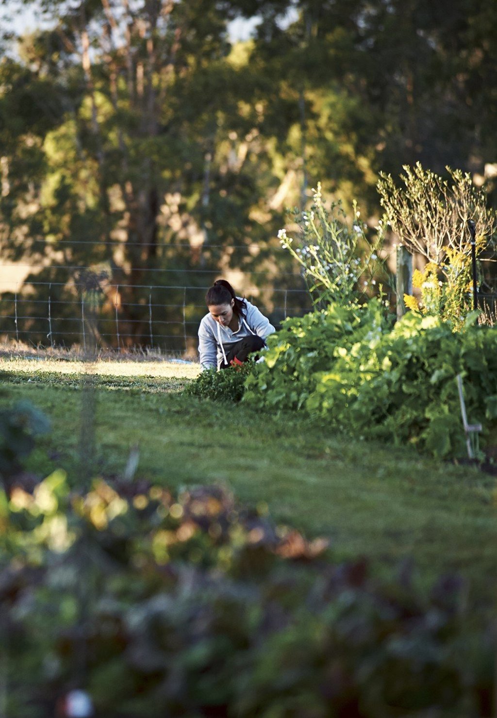 A member of staff tends a vegetable plot on the farm at Brae. Restaurant guests may tour the farm.