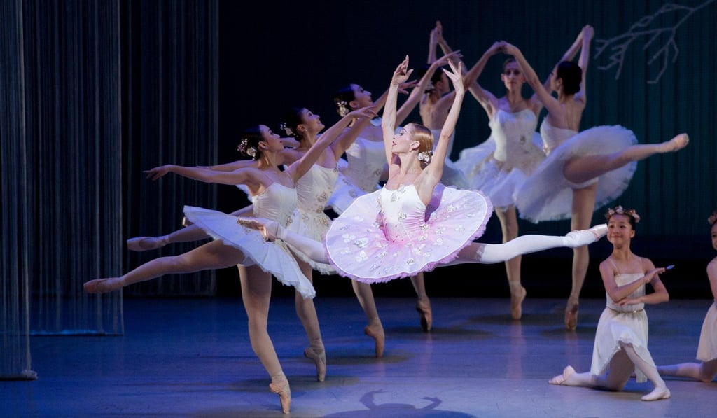 Dancers in the Hong Kong Ballet come from the city as well as around the world. Photo: Photo : Handout