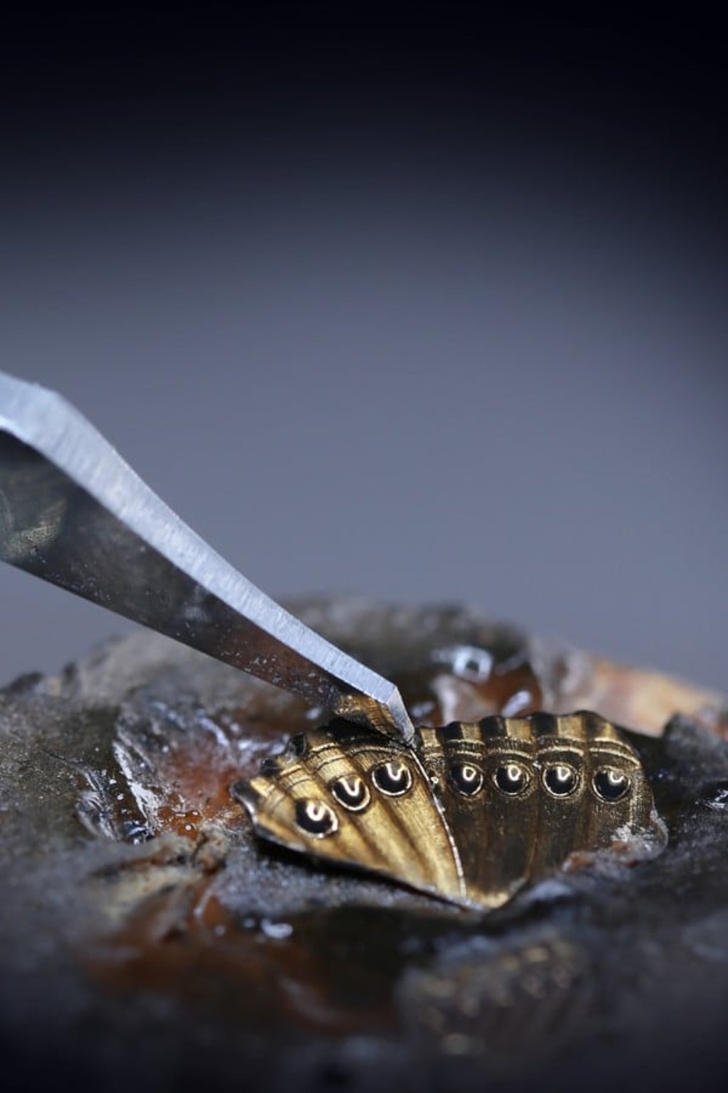 The making of Jaquet Droz’ Loving Butterfly timepiece, which was launched this spring.