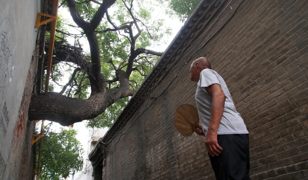 Jia said he hopes the tree will be preserved for future generations to enjoy. Photo: Handout
