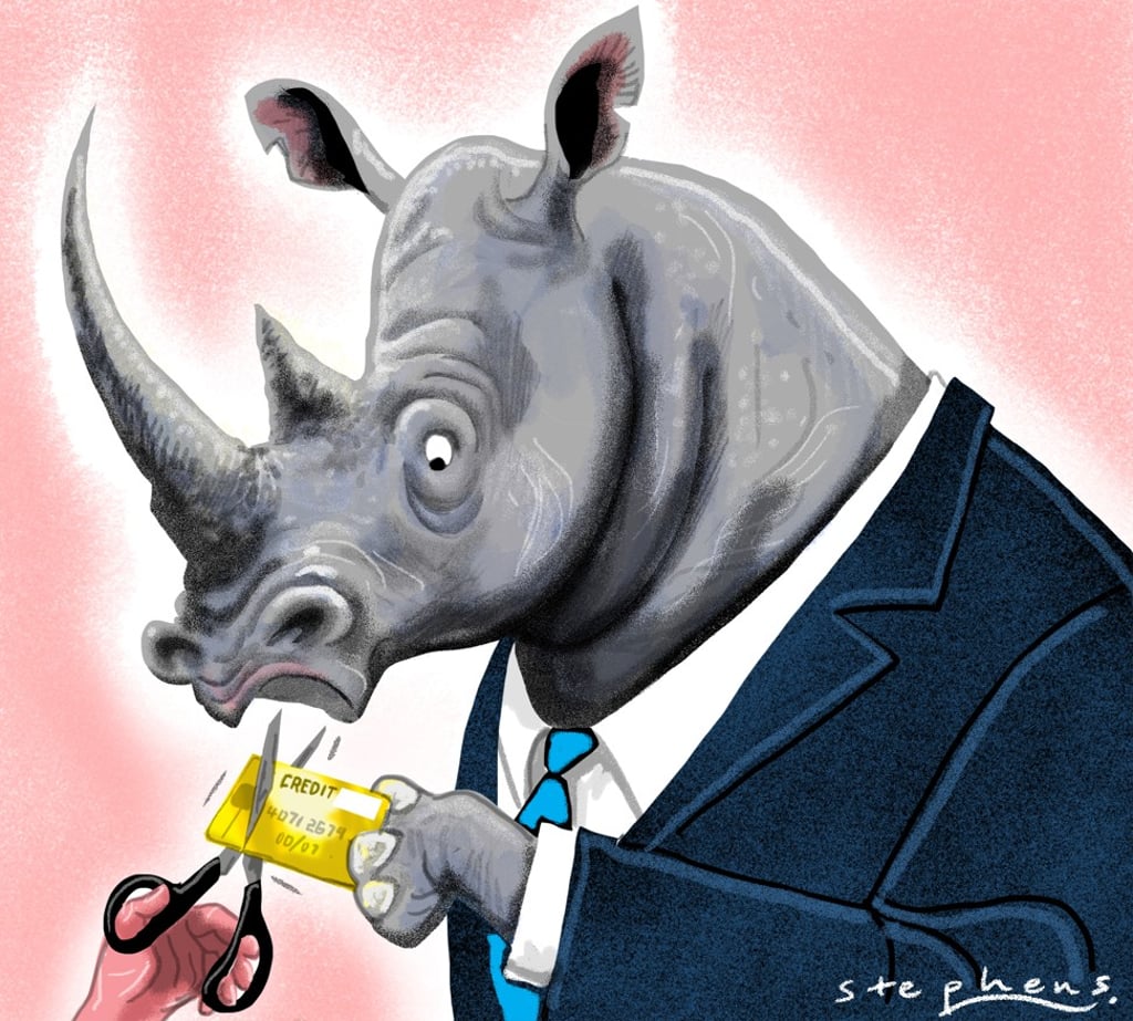 The question to ask, in China’s context, is why there are so many grey rhinos. The answer will determine whether China can wean itself off its debt addiction. Illustration: Craig Stephens The question to ask, in China’s context, is why there are so many grey rhinos. The answer will determine whether China can wean itself off its debt addiction. Illustration: Craig Stephens