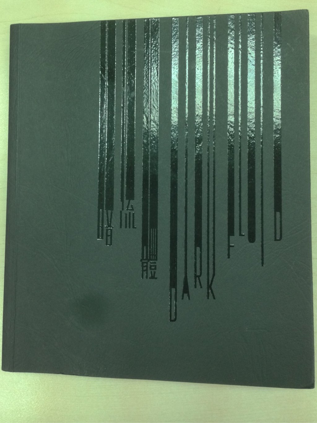 The cover of the science fiction book Dark Fluid. Photo: Enid Tsui