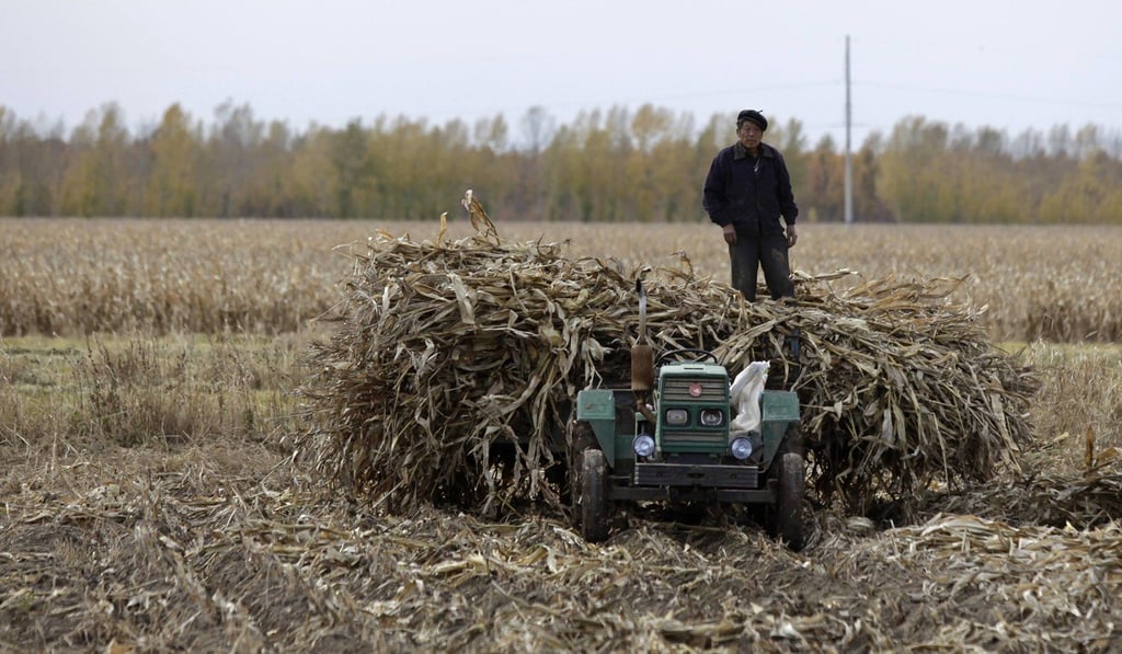 China wants to produce ethanol from cellulose such as corn stalks in a “structural way” by 2025. Photo: Reuters
