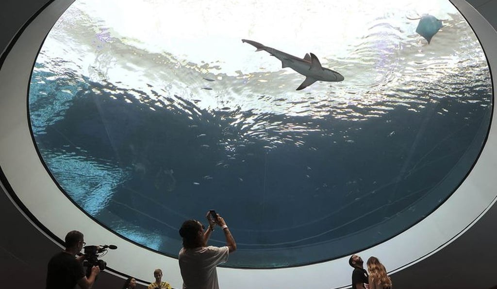 The Arctic Treehouse Hotel is made up of cube-like suites that hover over the snowpack. The Arctic Treehouse Hotel is made up of cube-like suites that hover over the snowpack.