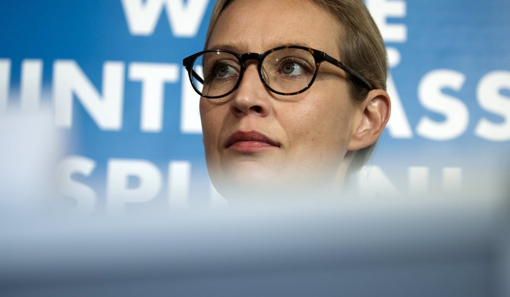 Alice Weidel, joint leading candidate for the German right-wing populist party Alternative for Germany (AfD), attends a press conference in Berlin on Monday. Photo: AFP