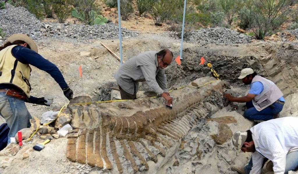 Paleontologists work on the recovery of a fossilised tail of a duck-billed dinosour, or hadrosaur, in Mexico in this file photo: Photo: Reuters