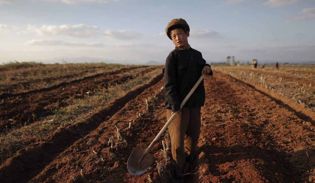 A North Korean boy works in a field damaged by summer floods and typhoons in South Hwanghae province in this 2011 file photo. Rainfall in key crop production areas dropped from April to June to the lowest level since 2001. Photo: Reuters