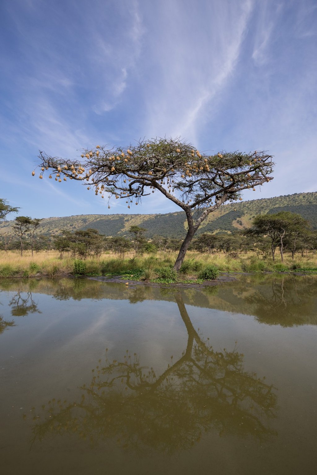 Akagera’s scenery is a draw for tourists.