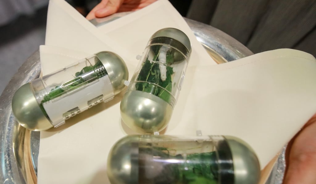 The silkworms which have been taken on-board the Shenzhou-11 spacecraft. Photo: Handout.