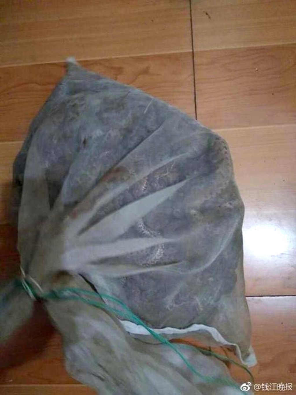 The man, from the southern China city of Guangzhou, said he bought 4kg of vipers to make snake wine. Photo: Handout