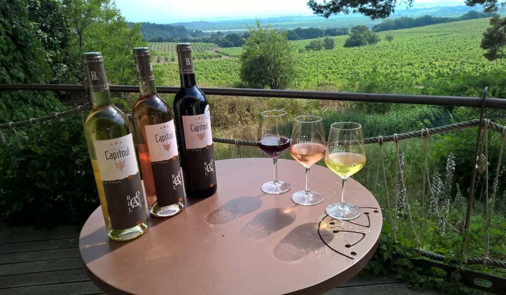 Wine from Chateau Capitoul. Languedoc accounts for about a quarter of all vineyard acreage in France. Photo: Courtesy of Domaine & Demeure.