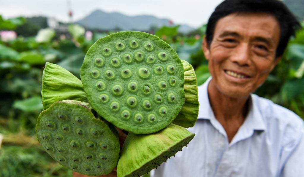 Villager Chen Jiayin sells lotus seedpods in Haotang Village, Xinyang City, in Henan province on August 8. Haotang Village, which many regard as one of the most beautiful in China, has become an experimental area for sustainable development. Photo: Xinhua