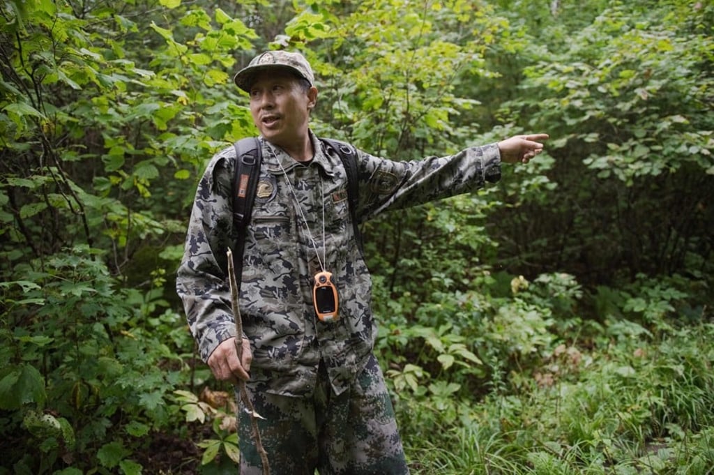 Liang Fengen, a ranger at the Nuanquan River Forestry Centre, surveys an area in Suiyang. He was once known as a skilled and ruthless hunter. Photo: AFP