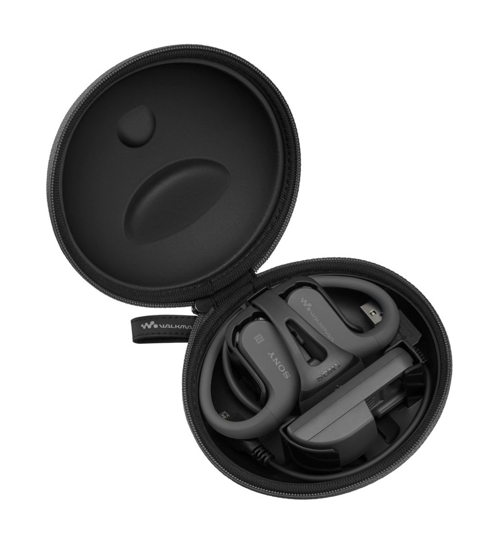 Sony Walkman NW-WS623.