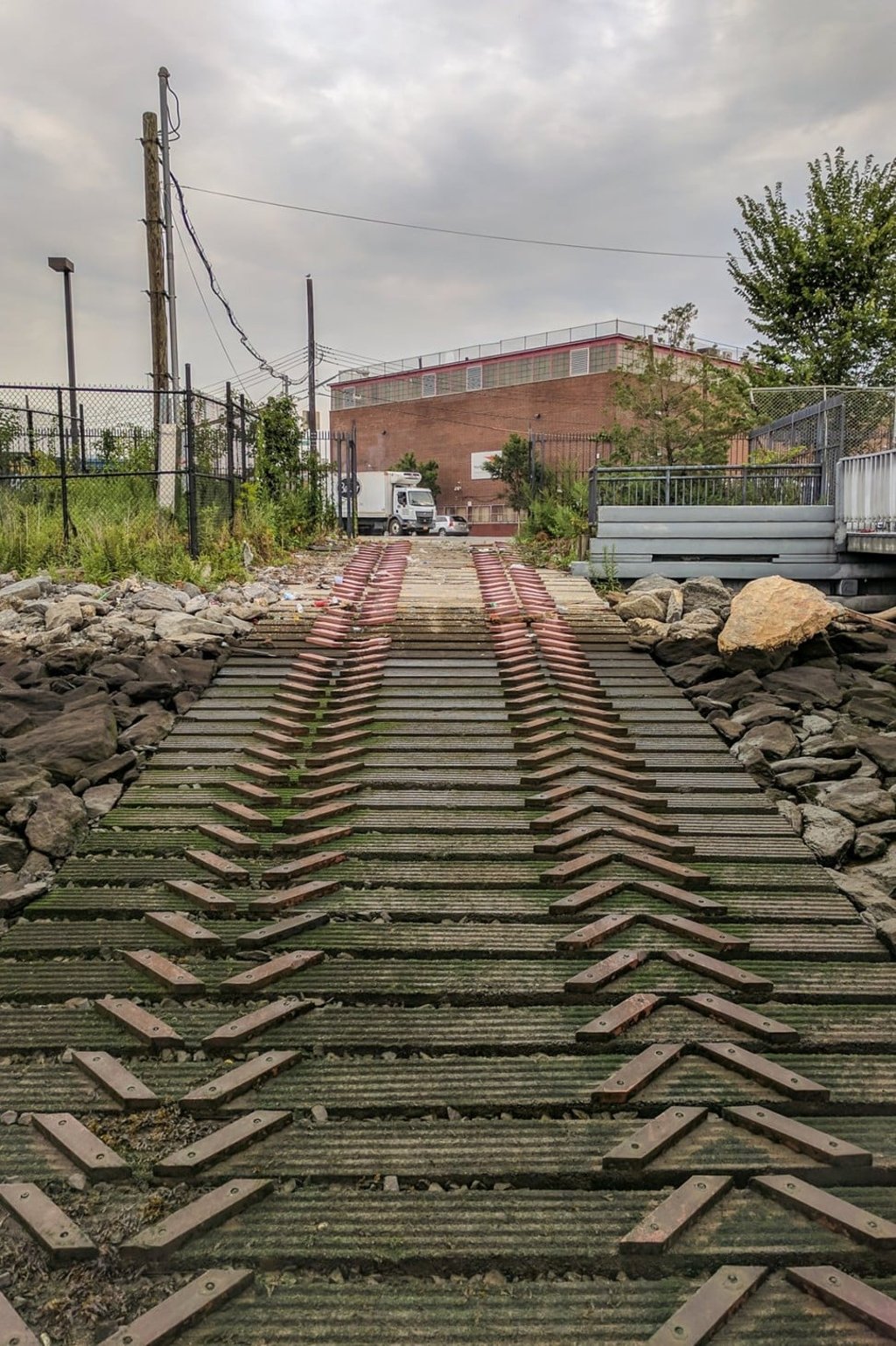 Watch your step – the boat ramp is covered in slippery algae at low tide. Watch your step – the boat ramp is covered in slippery algae at low tide.