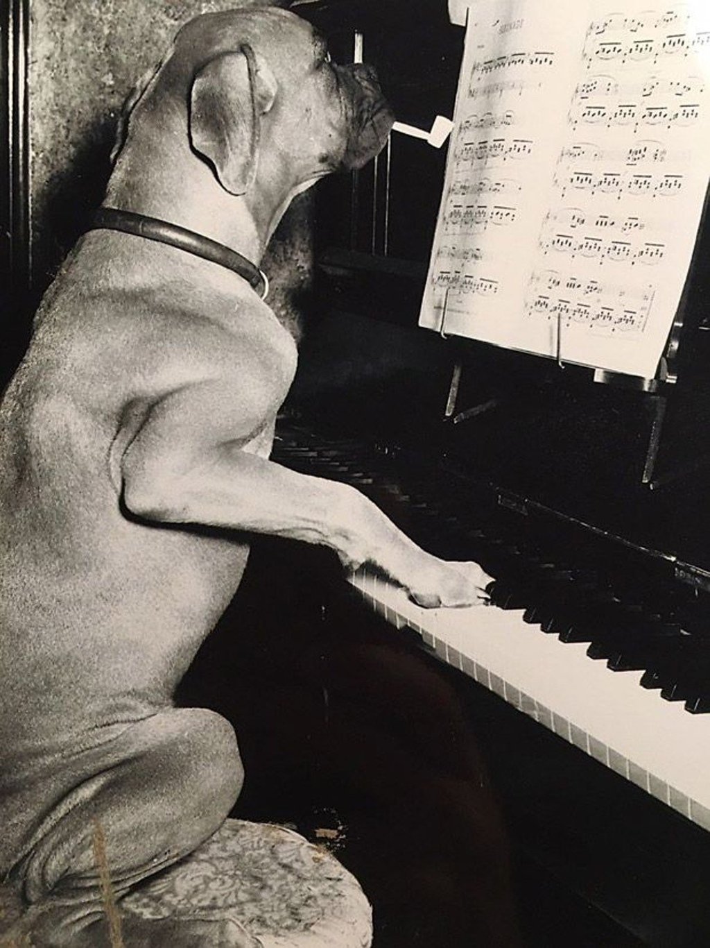 Khun Jocho. Photo: Pitchapong Prasong Khun Jocho. Photo: Pitchapong Prasong