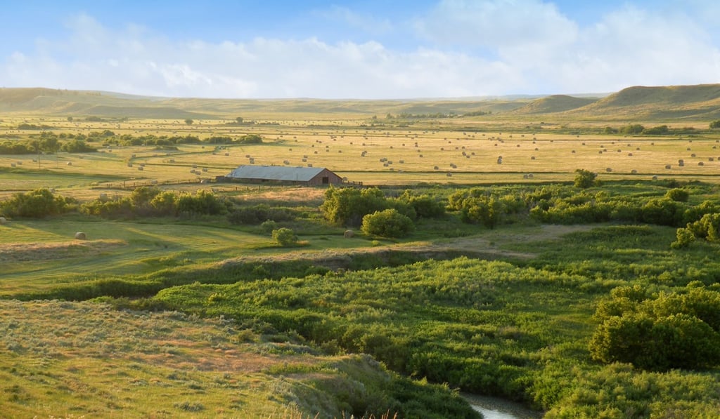 Finding the right farmland for investment takes time and research, as they do not come up for sale often in many places, according to industry players. Photo: SCMP photo