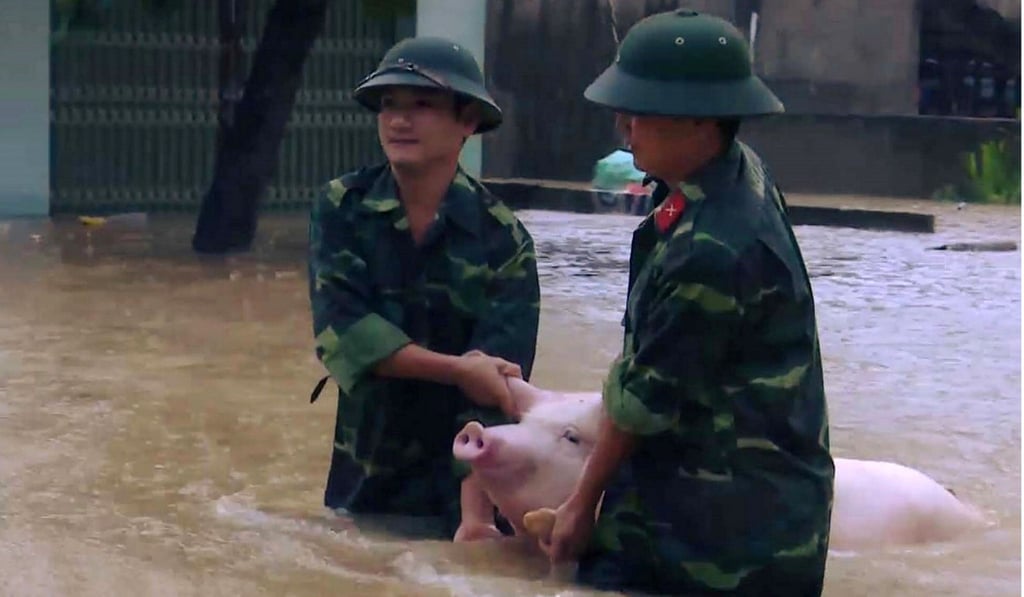 Soldiers rescue a pig in the central province of Thanh Hoa. Photo: AFP