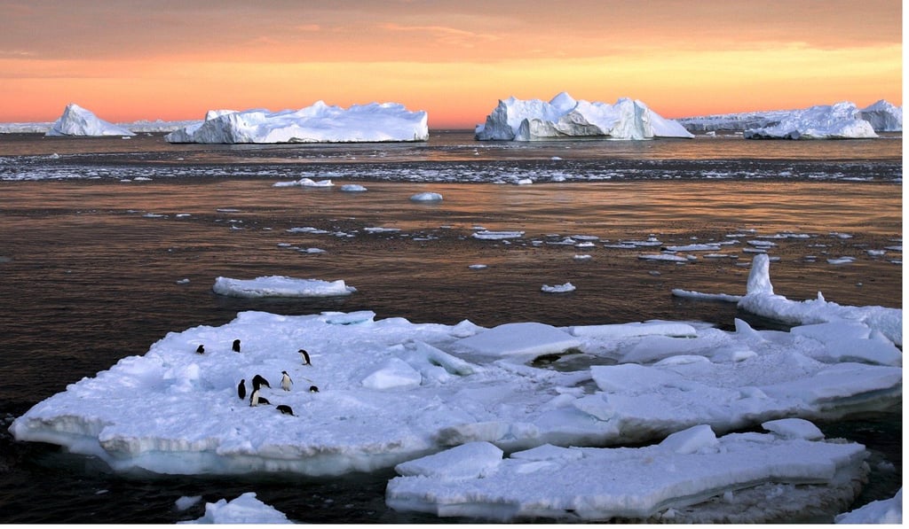 Adelie penguins stand atop ice near the French station at Dumont d'Urville in East Antarctica in this 2010 file photo. Photo: Reuters