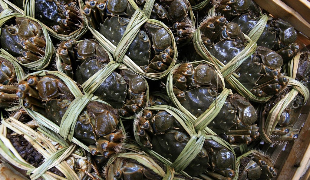 The Centre for Food Safety tested 12 samples of hairy crab. Photo: Edward Wong