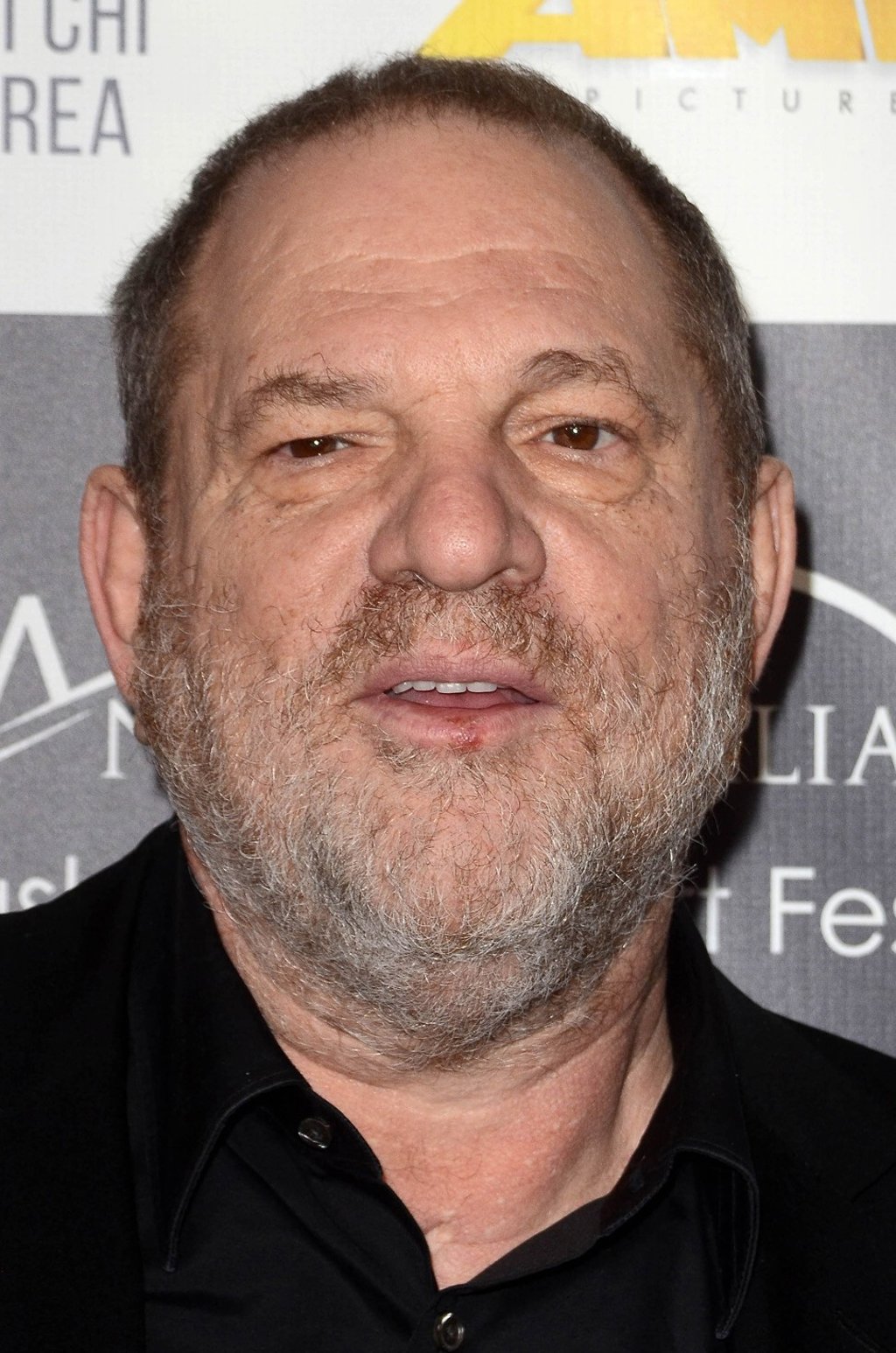 Disgraced film mogul Harvey Weinstein. Photo: DailyCeleb/SIPA USA/TNS