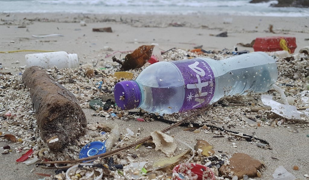 Debris washed up on Big Wave Bay beach in Shek O earlier this month. Photo: Antony Dickson