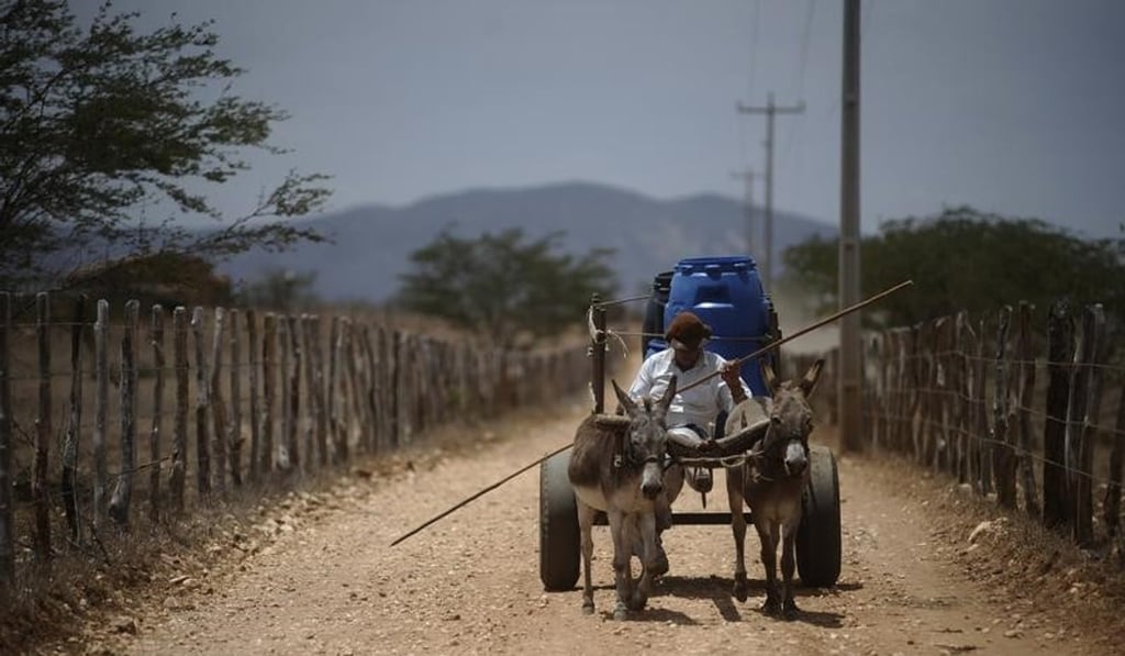 Rights groups estimate hundreds of thousands of people work in slave-like conditions on farms, sugar cane plantations and cattle ranches across Brazil’s remote and jungle areas. Photo: Reuters