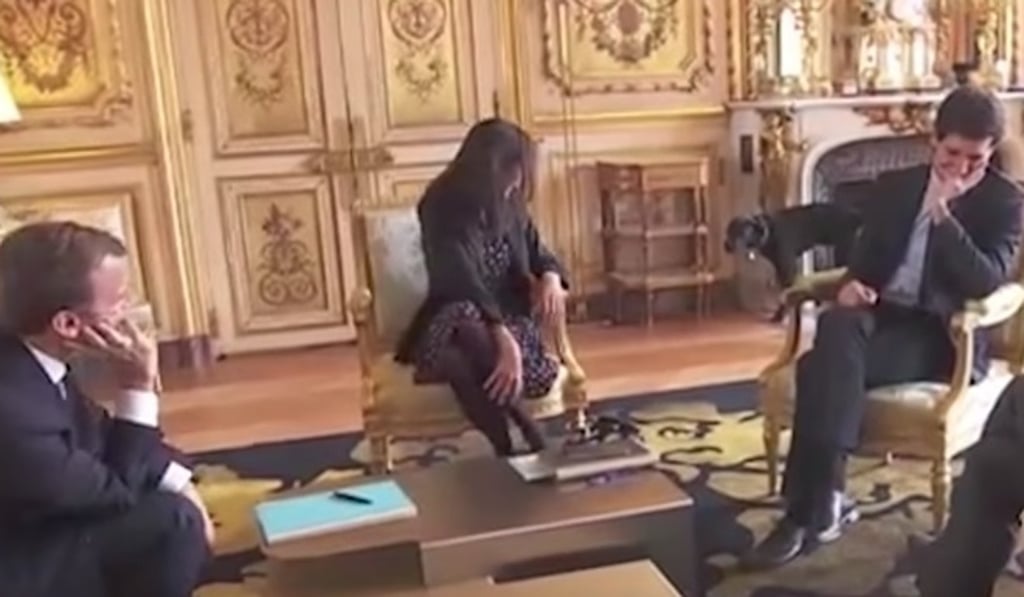 President Emmanuel Macron’s dog Nemo casually pees on an ornate fireplace at the Elysee Palace as the French leader met with members of his government. Photo: YouTube President Emmanuel Macron’s dog Nemo casually pees on an ornate fireplace at the Elysee Palace as the French leader met with members of his government. Photo: YouTube