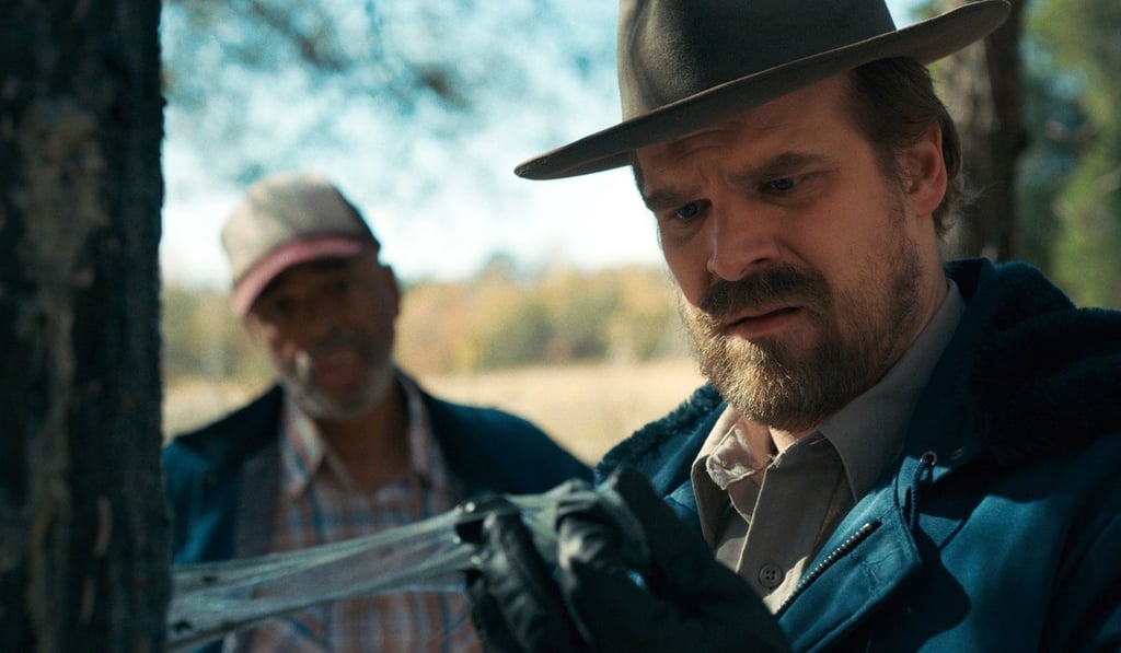 David Harbour in a still from Stranger Things. Photo: Netflix via AP