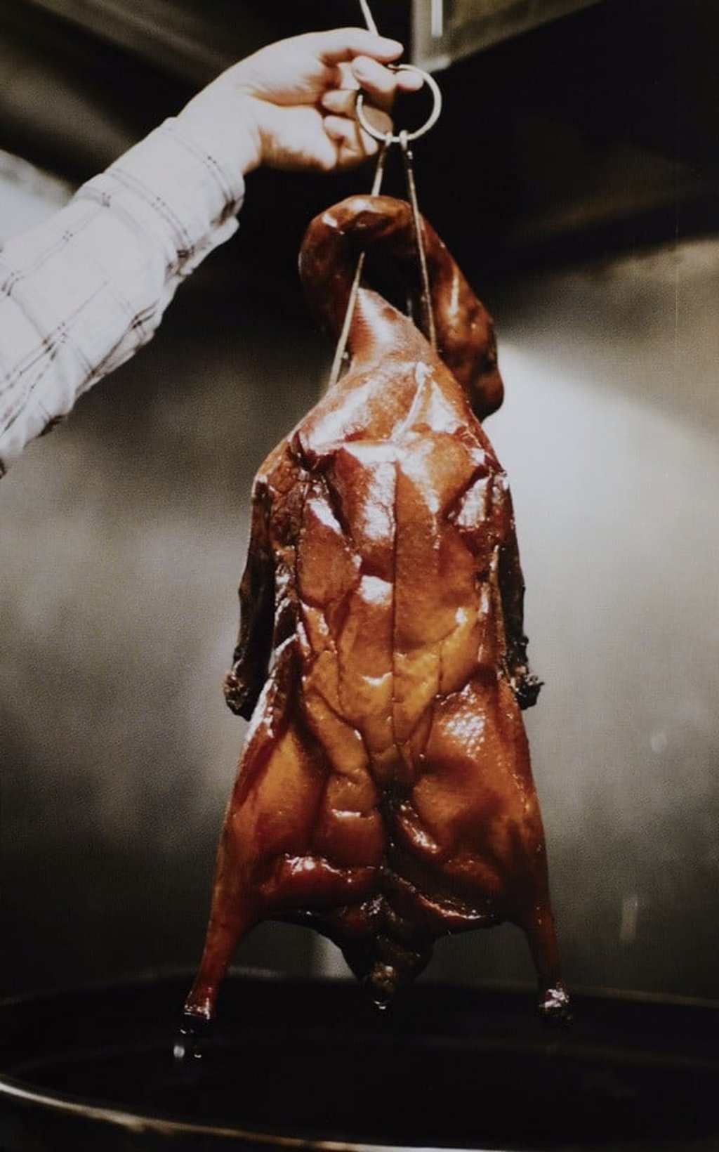 A roast goose, pictured in the book.