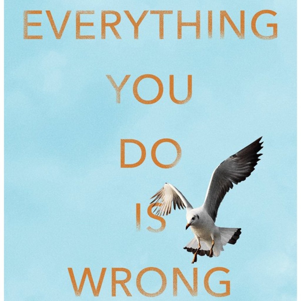 Amanda Coe’s new book