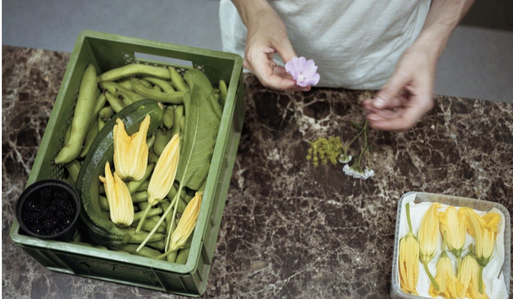 Dylan Watson-Brawn sorting beans and pumpkin flowers for service at Ernst. Dylan Watson-Brawn sorting beans and pumpkin flowers for service at Ernst.
