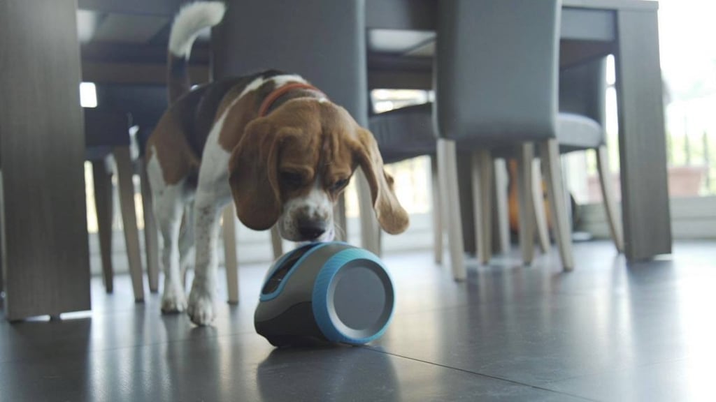 Laika allows dog owners to keep track of their pet and can give out treats.