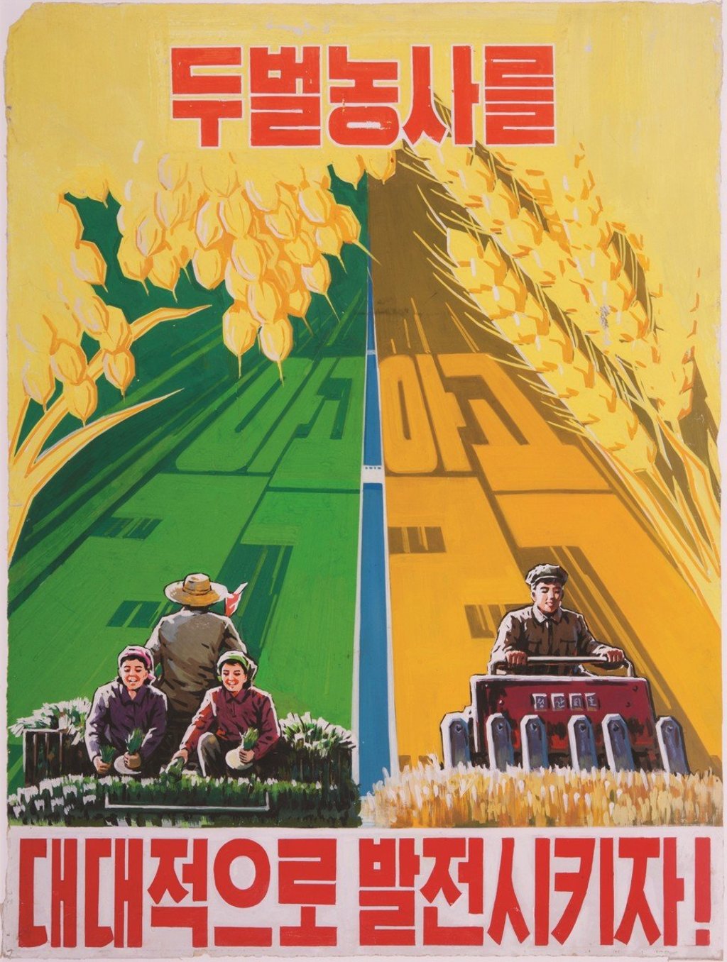 Let us extensively develop double cropping!