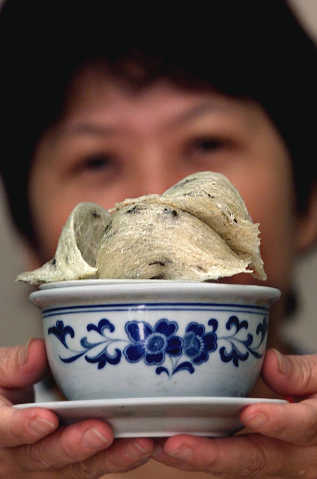 The project is expected to give merchants the ability to ship Malaysian specialities such as bird’s nests anywhere in the world within 72 hours. Photo: Reuters