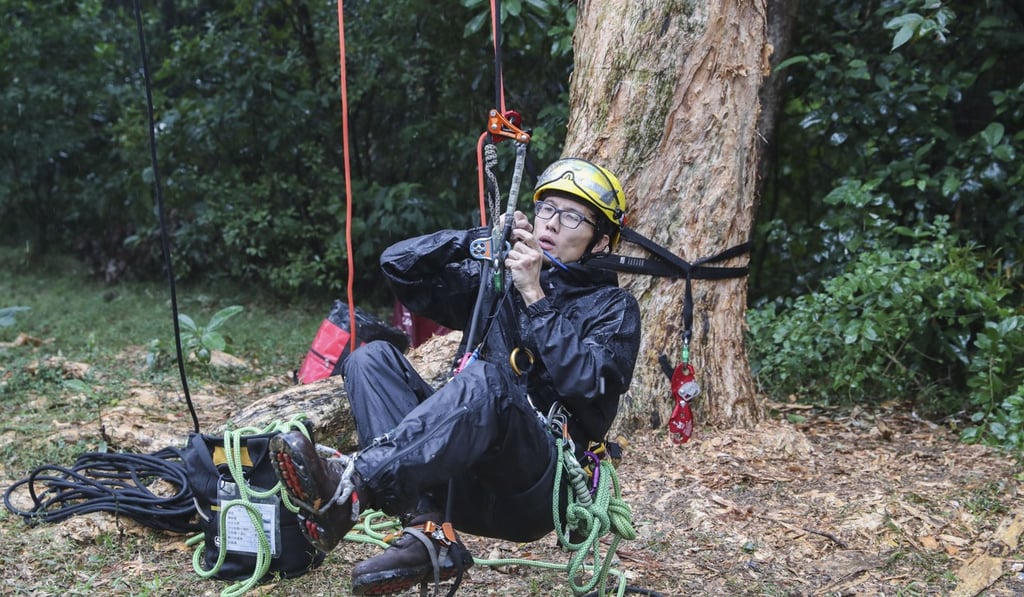 Hong Kong arborists lack an official training site. Photo: K.Y. Cheng