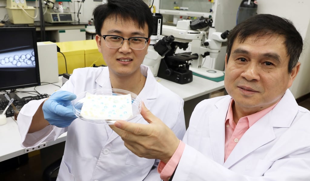 HKU researchers Dr Zhu Pingan (left) and Professor Wang Liqiu demonstrate the use of their new material. Photo: Sam Tsang